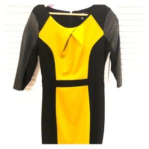 Sleek, color blocked, midi , 3/4 sleeve dress